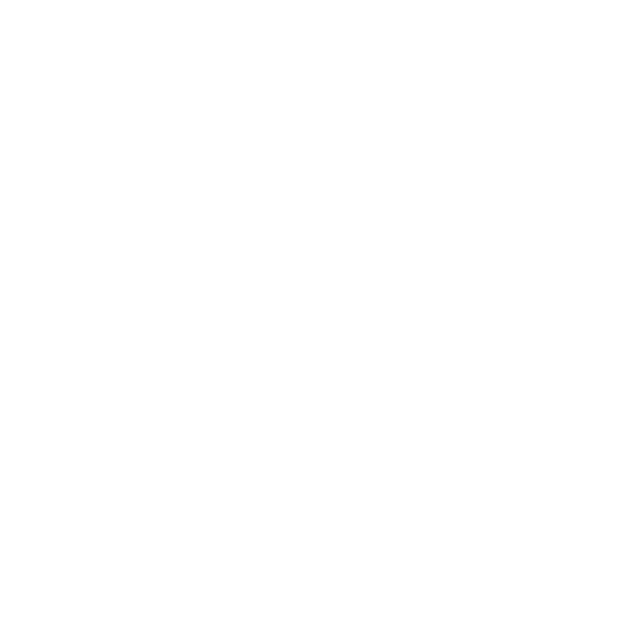 AMG Academy